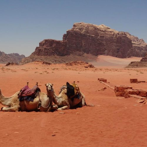 Wadi rum desert 